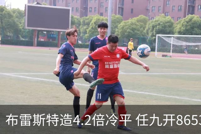 布雷斯特造4.2倍冷平 任九开8653注1378元